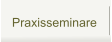 Praxisseminare